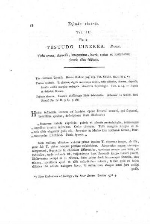 Tab. III. Fig. 3. Testudo Cinerea.