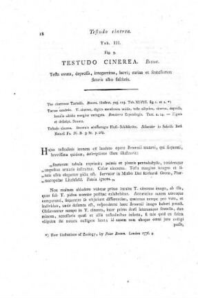 Tab. III. Fig. 3. Testudo Cinerea.