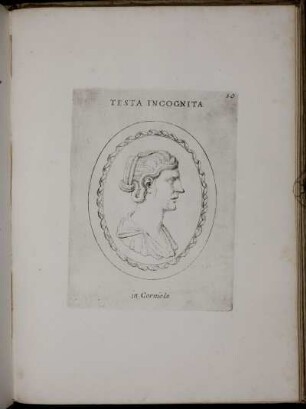 Testa Incognita