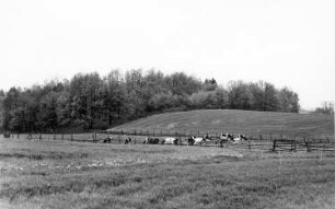 Panschwitz-Kuckau-Kuckau. Blick auf die Kuckauer Schanze