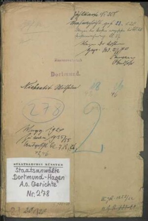 Angeklagter: Niehentit, Wilhelm: Landfriedensbruch (Plünderungen usw. in Hamm am 3.- 4.7.1919)