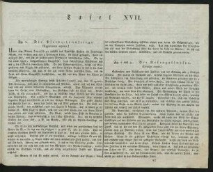 Tafel XVII.