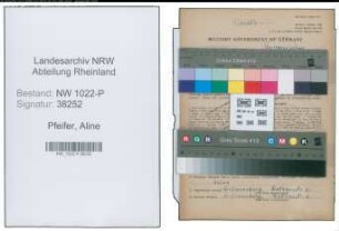 Entnazifizierung Aline Pfeifer , geb. 11.06.1881 ()