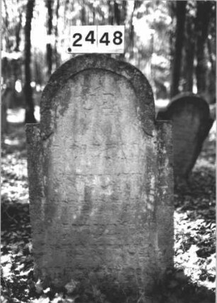 Grabstein 2448