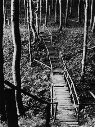 Stubbenkammer