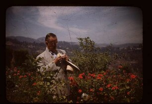 Bekenntnisse des Hochstaplers Thomas Mann