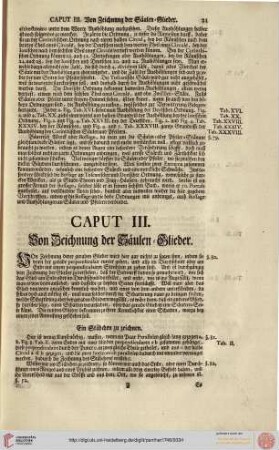 Caput III. Von Zeichnung der Säulen-Glieder