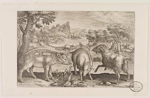 Wildschweine und Ziege aus (Animalium Qvaddrupedum)