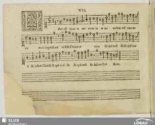 VII. Haec est vita aeterna