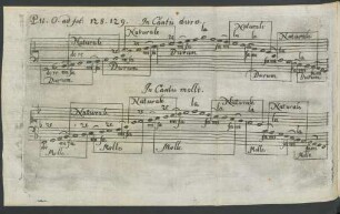 P. II. O. ad fol: 128. 129