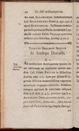 Titulus Decimus Sextus de Antilope Dorcade.