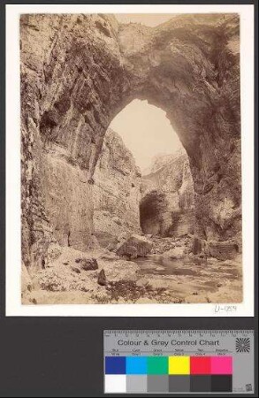 Constantine - Gorges du Rhummel, les voulis