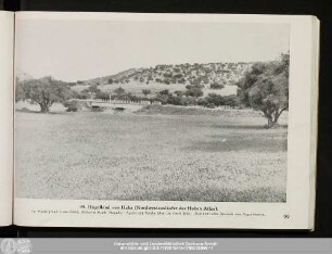 99. Hügelland von Haha (Nordwestausläufer des Hohen Atlas).