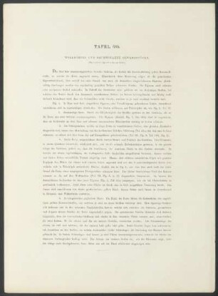 Tafel 68b. - Wollborten und baumwollene Gewandstücke.