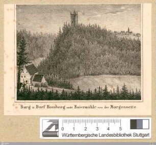 Burg u. Dorf Hornberg samt Baiermühle von der Morgenseite