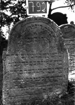 Grabstein 792 (Index: 100105096) Material: grauer Kalkstein (?) Zustand: teilweise verwittert, etwas eingesunken Maße HxBxT: 114x79x13 cm Beschreibung: Stele, eingezogener Rundbogenabschluss mit unregelmäßigen Rändern, Schriftfeld eingetieft: Grabstein 792