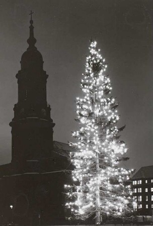 Dresden, beleuchteter Weihnachtsbaum auf dem Altmarkt