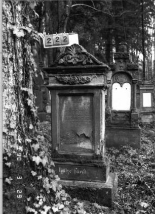 Grabstein 222 (neu: 711)