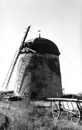 Falkenhain-Meltewitz. Turmholländer