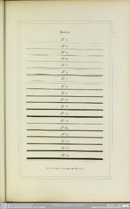 Linien