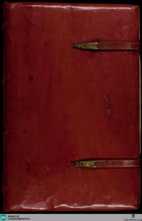 Speculum humanae salvationis - Cod. Karlsruhe 3378
