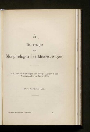 XII. Beiträge zur Morphologie der Meeres-Algen