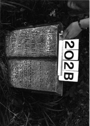 Grabstein 202 (Index: 99897837) Zustand: liegend: Grabstein 202B