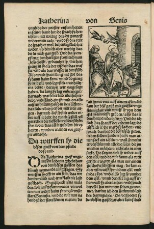 Da wurffen sy die bösen gaist von dem pferde do sy rait.