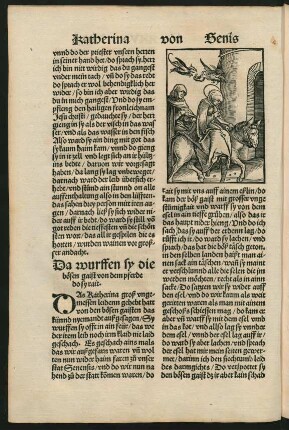 Da wurffen sy die bösen gaist von dem pferde do sy rait.
