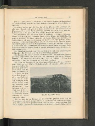 Abb. 19. Urwald bei Amani.