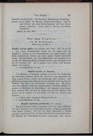 Drei neue Papilio.