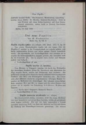 Drei neue Papilio.