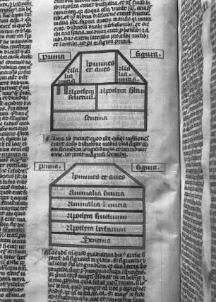 Postillum von Nicolaus von Lyra — Abbildung: Arche Noah, Folio 13verso