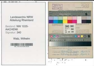 Entnazifizierung Wilhelm Walz , geb. 03.12.1907 (Hauer)