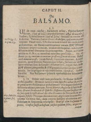Caput II. De Balsamo.