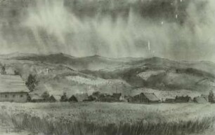 Gewitter im Thüringer Wald