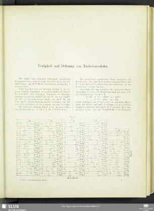 Festigkeit und Dehnung von Treibriemenleder.