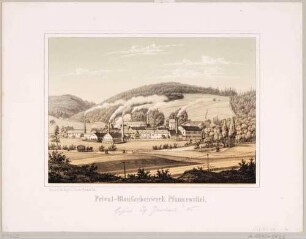 Das Blaufarbenwerk (Blaufarbenmühle, Koboldfabrik) in Pfannenstiel (Niederpfannenstiel) bei Aue, heute Nickelhütte Aue, Blatt aus dem Album der Sächsischen Industrie