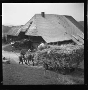 Heuernte im Schwarzwald
