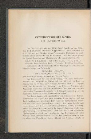 Zweiundzwanzigstes Capitel. Die Platinotypie.