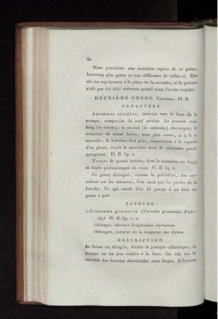 Deuxiéme Genre