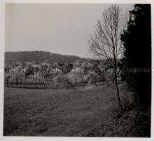 Kreßbronn am Bodensee, Obstbau, Obstlandschaft