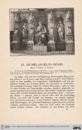IX. Michelangelos Moses