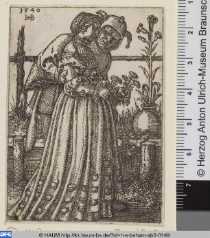 Die Dame und der Narr