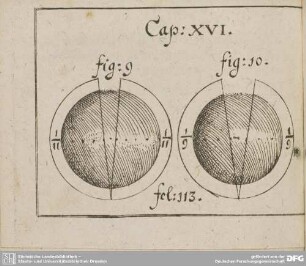 Cap: XVI. fig: 9 fig: 10. fol: 113.