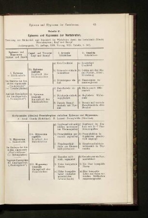 Tabelle C: Episoma und Hyposoma der Vertebraten.