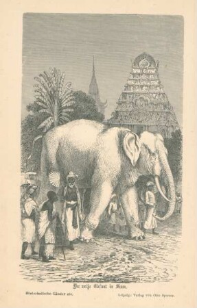 Der weiße Elefant in Siam