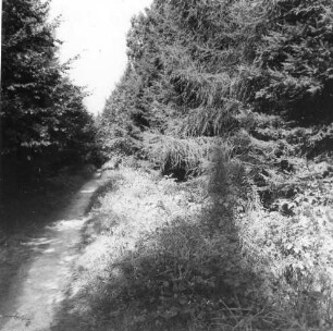 Mittelsachsen. Wanderweg der "Grabentour" am Rothschönberger Stolln (1844/1846).