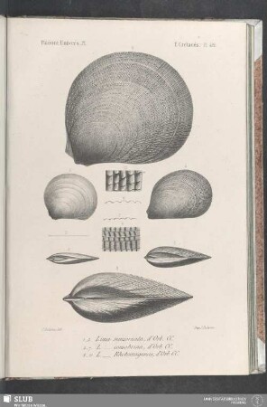 Pl. 422