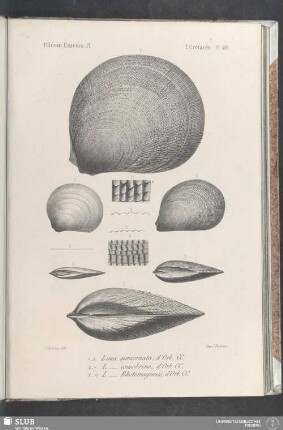 Pl. 422